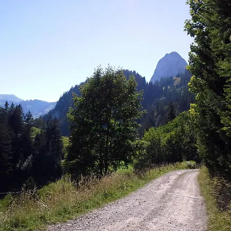 Lägenhet Adlemsried By Interhome