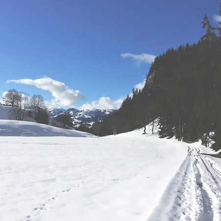 Adlemsried By Interhome * Boltigen