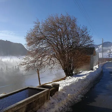 Adlemsried By Interhome Apartmán Boltigen