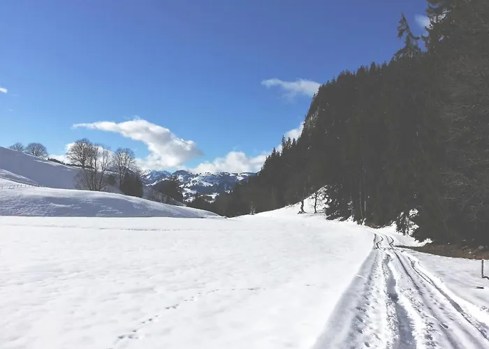 Adlemsried By Interhome * Boltigen