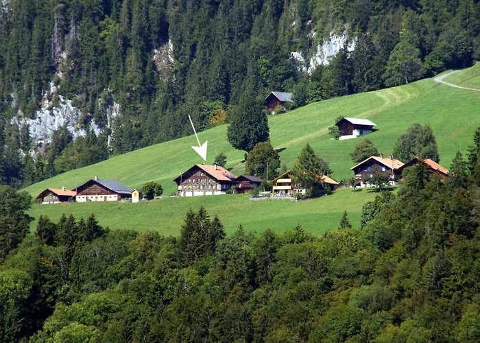 Adlemsried By Interhome * Boltigen