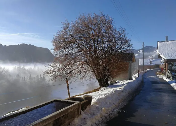 Adlemsried By Interhome Lägenhet Boltigen