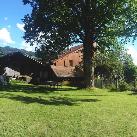 Adlemsried By Interhome Boltigen